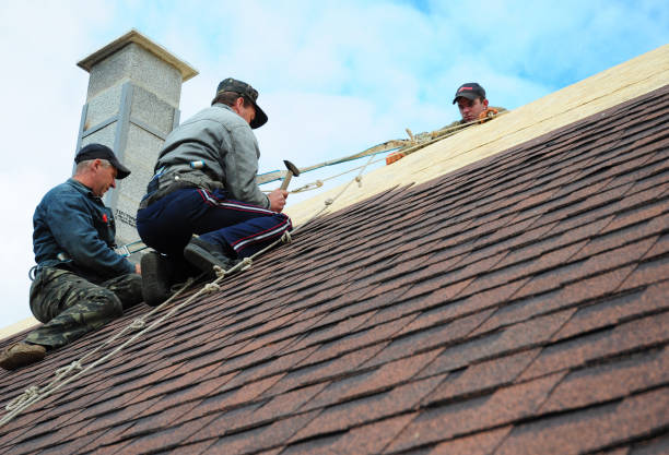 Best Roof Gutter Cleaning  in Splendora, TX